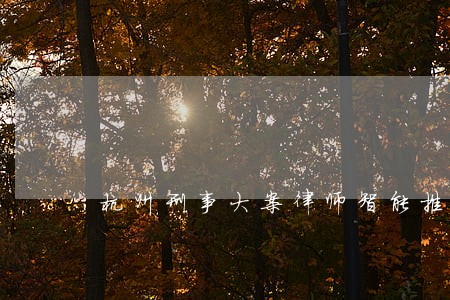 杭州刑事大案律师智能推荐