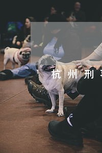 杭州刑事大案律师服务为先 杭州刑事大案律师服务为先