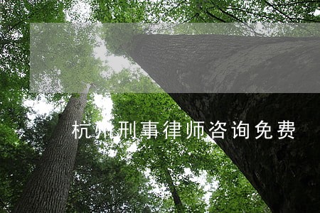 杭州刑事律师咨询免费 杭州刑事律师咨询免费