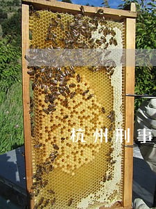 杭州刑事执行案律师热线 杭州刑事执行案律师热线