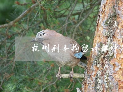 杭州刑事拘留请律师需要多少钱 杭州刑事拘留请律师需要多少钱
