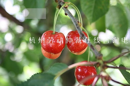 杭州劳动仲裁在线咨询电话 杭州劳动仲裁在线咨询电话