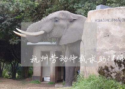 杭州劳动仲裁求助律师热线电话 杭州劳动仲裁求助律师热线电话