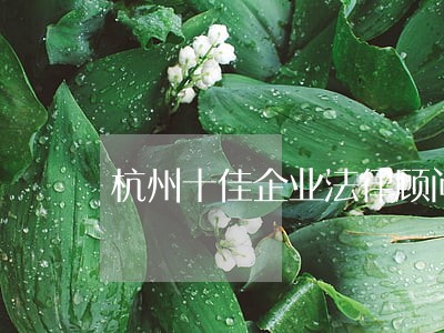 杭州十佳企业法律顾问 杭州十佳企业法律顾问