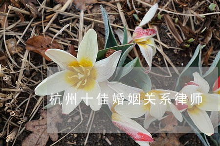 杭州十佳婚姻关系律师 杭州十佳婚姻关系律师