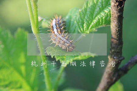杭州千岛湖法律咨询 杭州千岛湖法律咨询
