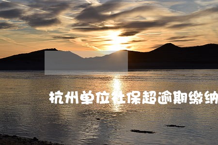 杭州单位社保超逾期缴纳1天 杭州单位社保超逾期缴纳1天