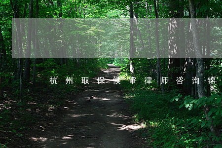 杭州取保候审律师咨询锦志卓越