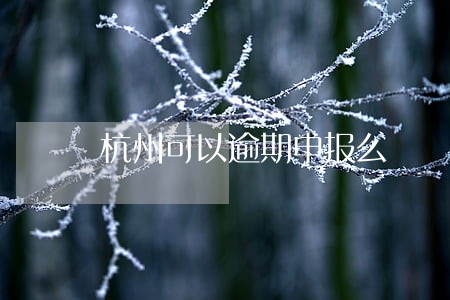 杭州可以逾期申报么 杭州可以逾期申报么