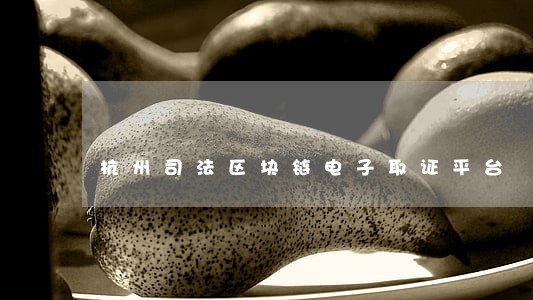 杭州司法区块链电子取证平台 杭州司法区块链电子取证平台