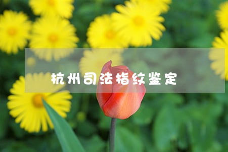 杭州司法指纹鉴定 杭州司法指纹鉴定