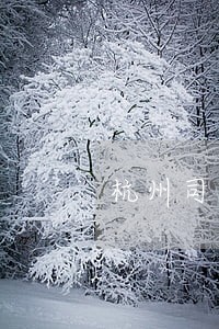 杭州司法牌照麻烦吗 杭州司法牌照麻烦吗
