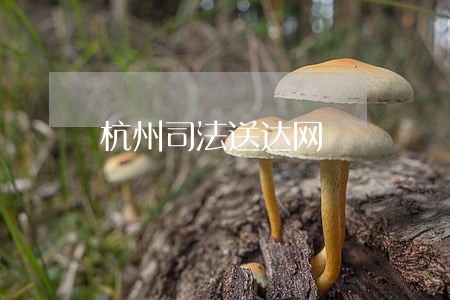 杭州司法送达网