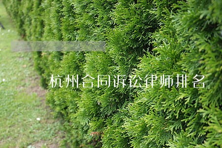 杭州合同诉讼律师排名 杭州合同诉讼律师排名