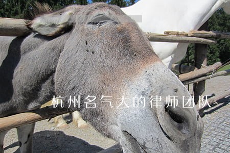 杭州名气大的律师团队 杭州名气大的律师团队