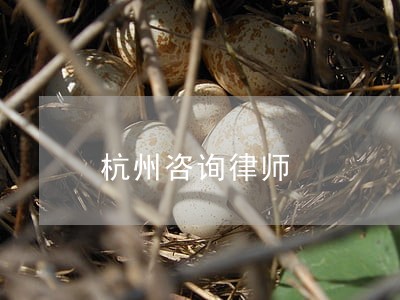 杭州咨询律师 杭州咨询律师