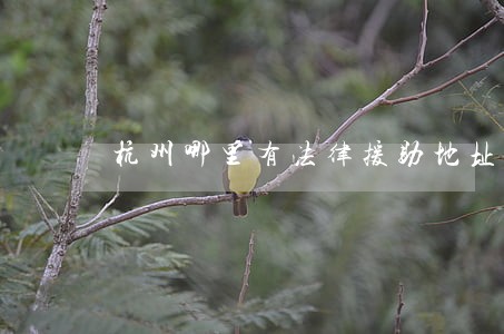 杭州哪里有法律援助地址