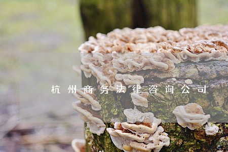 杭州商务法律咨询公司 杭州商务法律咨询公司