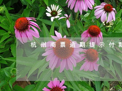 杭州商票逾期提示付款 杭州商票逾期提示付款