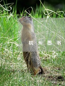 杭州图书馆逾期罚款怎么缴费 杭州图书馆逾期罚款怎么缴费