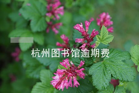 杭州图书馆逾期费