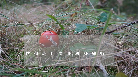 杭州地区专业税务律师 杭州地区专业税务律师