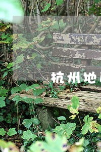 杭州地区彩礼纠纷律师哪个好