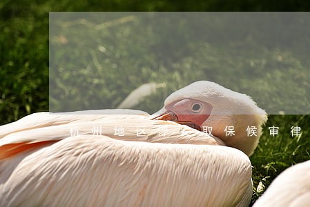 杭州地区淳安取保候审律师 杭州地区淳安取保候审律师