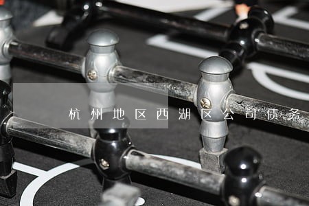 杭州地区西湖区公司债务律师 杭州地区西湖区公司债务律师