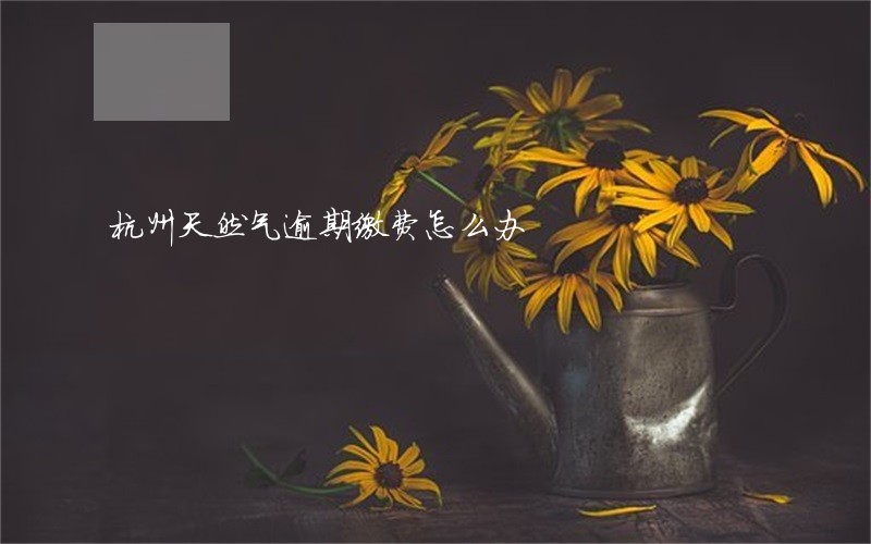 杭州天然气逾期缴费怎么办 杭州天然气逾期缴费怎么办
