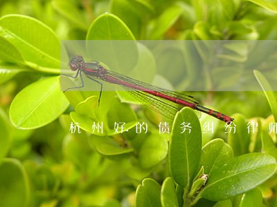 杭州好的债务纠纷律师