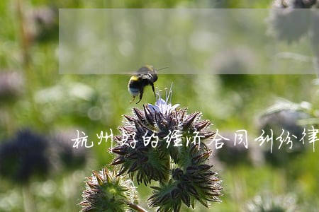 杭州好的经济合同纠纷律师 杭州好的经济合同纠纷律师