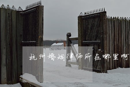 杭州婚姻律师所在哪里啊 杭州婚姻律师所在哪里啊