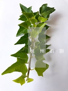 杭州婚姻律师排名 杭州婚姻律师排名