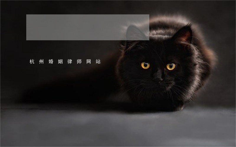 杭州婚姻律师网站 杭州婚姻律师网站