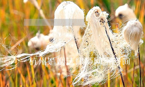 杭州婚姻法律师网络咨询