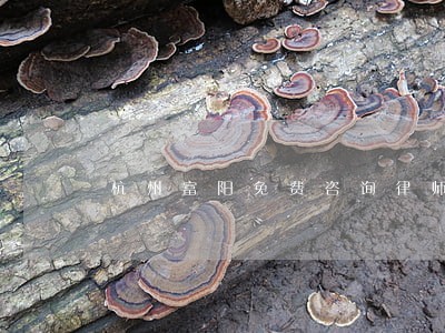 杭州富阳免费咨询律师 杭州富阳免费咨询律师
