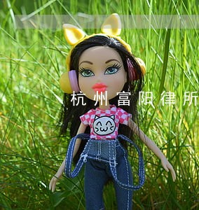 杭州富阳律所哪个律师好