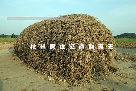 杭州居住证逾期两天 杭州居住证逾期两天