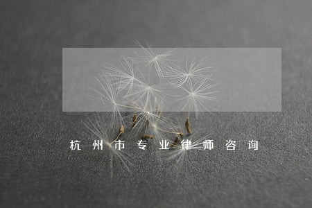 杭州市专业律师咨询 杭州市专业律师咨询