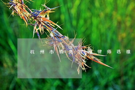 杭州市债务官司律师选谁 杭州市债务官司律师选谁
