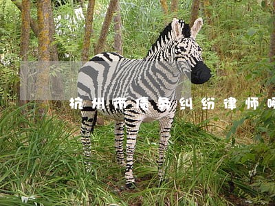 杭州市债务纠纷律师哪家好