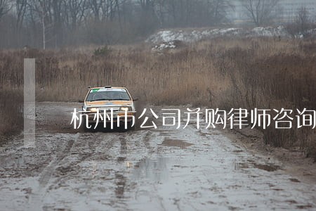 杭州市公司并购律师咨询 杭州市公司并购律师咨询