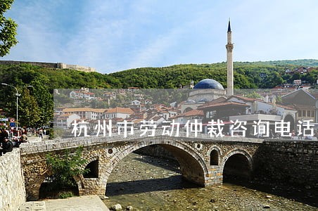 杭州市劳动仲裁咨询电话号码 杭州市劳动仲裁咨询电话号码