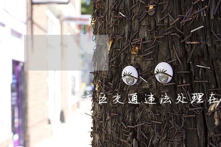 杭州市区交通违法处理在哪里 杭州市区交通违法处理在哪里