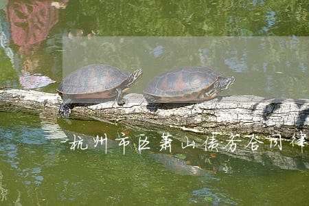 杭州市区萧山债务合同律师 杭州市区萧山债务合同律师