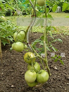 杭州市取保候审律师价格欢迎咨询