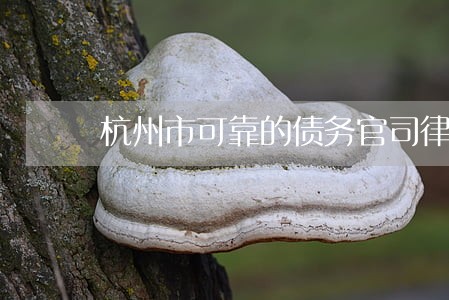 杭州市可靠的债务官司律师 杭州市可靠的债务官司律师