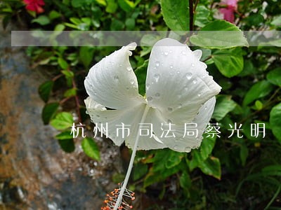 杭州市司法局蔡光明 杭州市司法局蔡光明