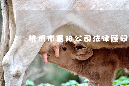 杭州市富阳公司法律顾问 杭州市富阳公司法律顾问